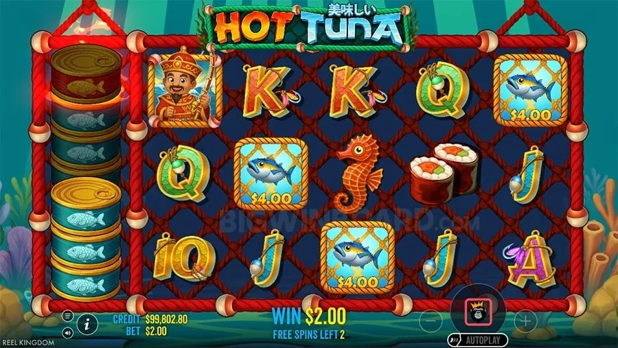 Top 5 Tips for Online Casino Success